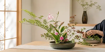 いけばな教室の活用例